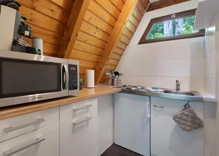Tolles Mit Garten- Grill Und Parkplatz By Interhome Lautenthal